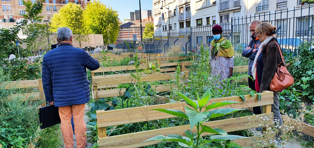 Un potager en ville, c’est possible !