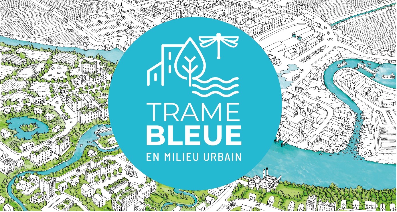 La fresque des solutions pour la Trame bleue