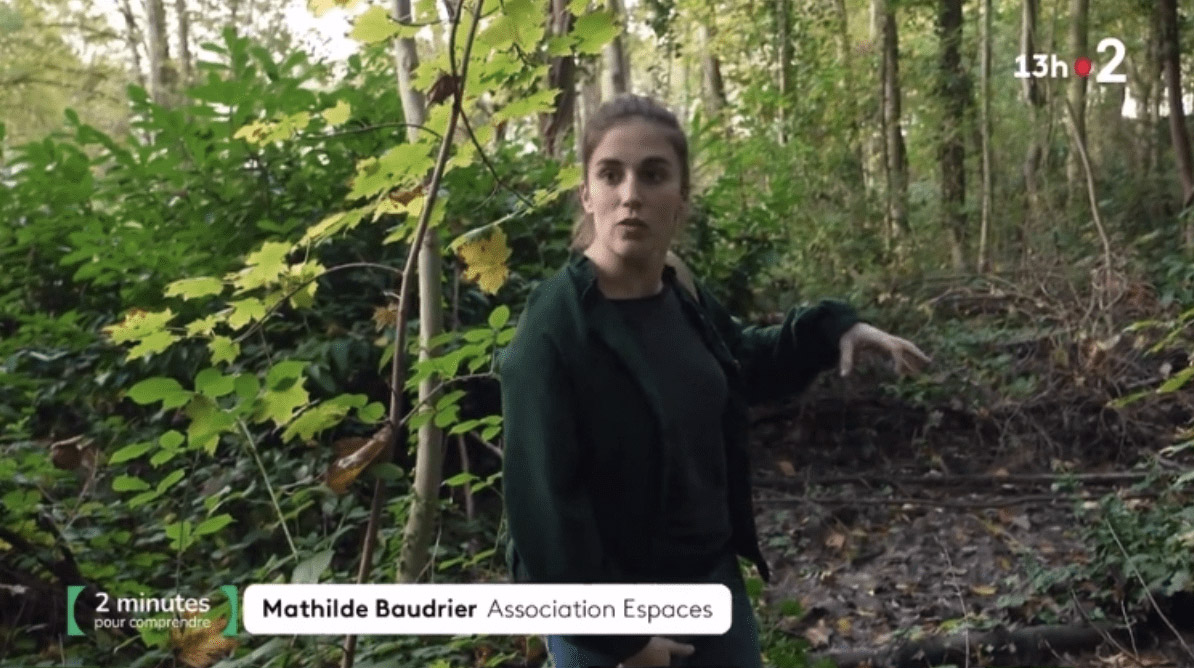 Mission nature : Restauration de mares par Espaces