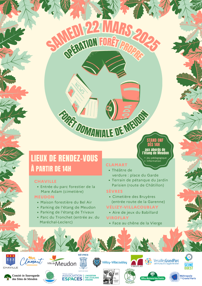 Forêt propre