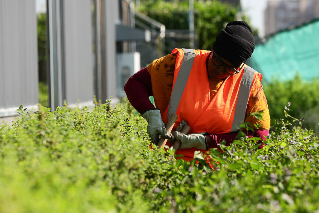 crédit photo : Teresa Suarez